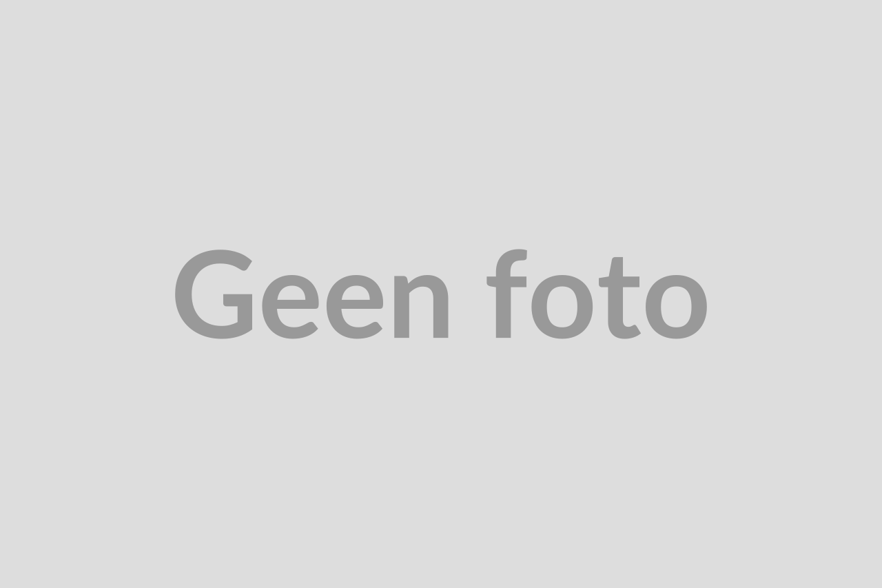 Volkswagen Polo 1.0 TSI Comfortline Business NAVI,CLIMA,PDC V&A